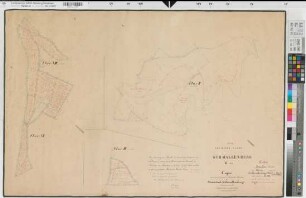 Schmallenberg (Schmallenberg), Teilung Schmallenberger Wald- und Weidegrunstücke, Bl. 1 Brouillonkarte
