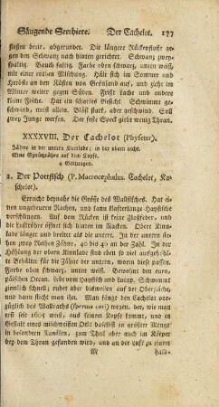 XXXXVIII. Der Cachelot