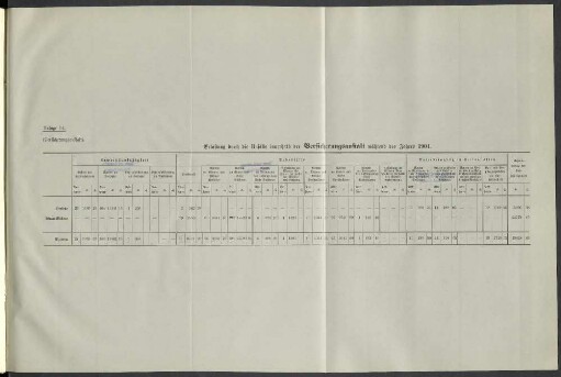 Anlage 14. Belastung durch die Unfälle innerhalb der Versicherungsanstalt während des Jahres 1904.