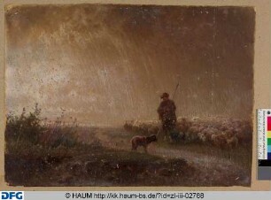 Hirte mit zwei Hunden und einer Schafherde im Regen