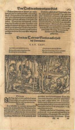 Grafik und Text "Von dem Todt und Sterben ausserhalb des Vatterlandts. CAP. CXXV"