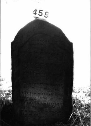 Grabstein 459