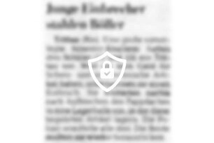 Junge Einbrecher stahlen Böller