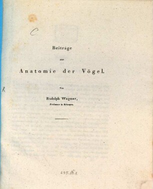 Beiträge zur Anatomie der Vögel