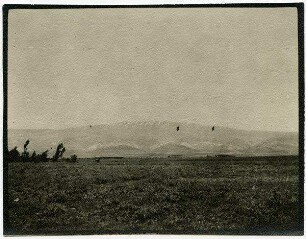 [Djebel Dammin]