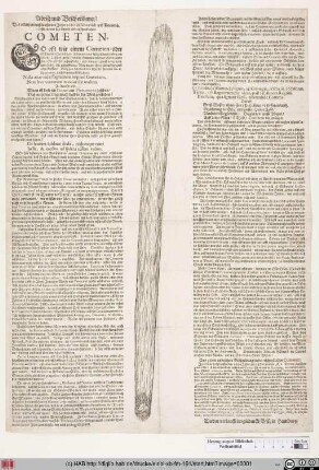 Abriß und Beschreibung/ Des in diesem noch lauffenden Jahre 1680. in Novemb. und Decemb. erschienenen sehr langen und erschrecklichen Cometen