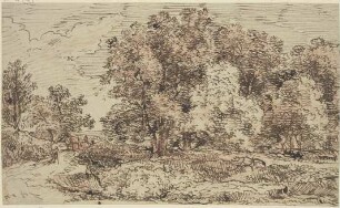 Landschaft mit hohen Bäumen