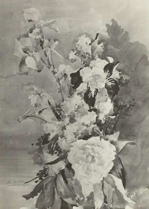 Iris und Pfingstrose
