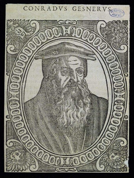 Gesner, Conrad
