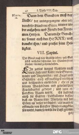 VIII. Capitel.