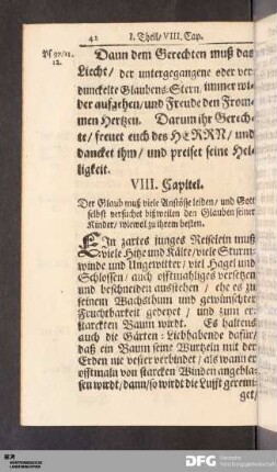 VIII. Capitel.