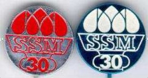 Slowakischer Jugendverband, 30 Jahre