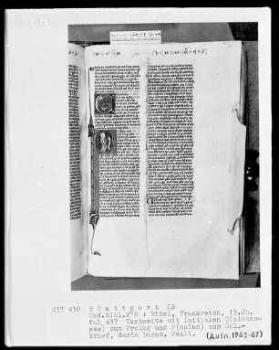 Bibel — Initiale P (aulus apostolus), darin Apostel Paulus, Folio 437recto