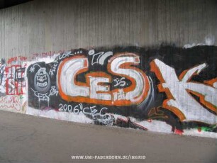 CES