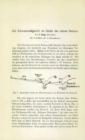 Die Schwarzwaldgerölle im Gebiet des oberen Neckars