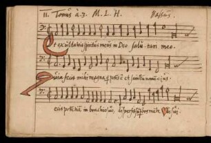 11. Magnificat 11. Tonus