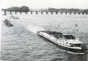 Motorschlepper DAMCO 10