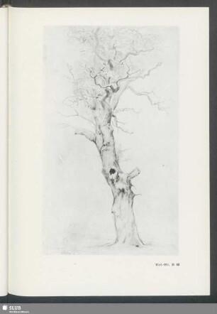 Kat.-Nr. B 68: Baumstudie (Eiche)
