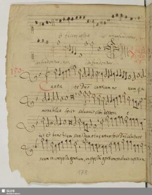Mel, Rinaldo del: Cantate Domino canticum novum quia mirabilia fecit