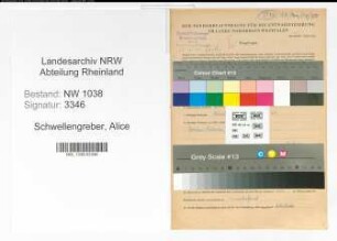 Entnazifizierung Alice Schwellengreber , geb. 10.08.1903 (Lehrerin)