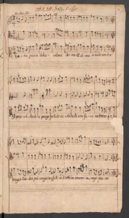 Procris und Cephalus. Auszüge. Arr; V (2), orch
