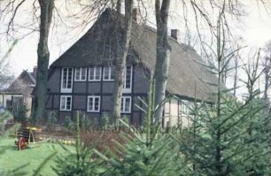 Bünningstedt: Steenhoop 27: ehemaliges Bauernhaus mit Reetdach: Giebelseite