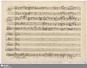 Magnificat, anima mea Dominum