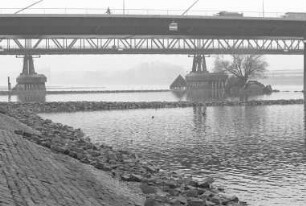 Niedrigwasser des Rheins