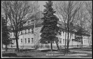 Schloss Hubertusburg. Landesanstalt, Krankenhaus