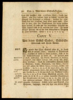 Casput V. Von denen Schlick-Sachen, Schlick-Geschwornen und ihrem Ammt.