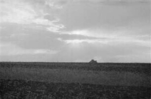 Zweiter Weltkrieg. Frontbilder. Sowjetunion. Panzer auf grasbewachsener Ebene