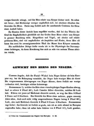 Gewicht des Hirns des Negers