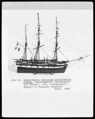 "Walfangsegler "Flora", 1795, Flensburg?, Reeder O. Piening, Elmshorn