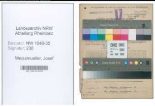 Entnazifizierung Josef Weissmueller , geb. 11.03.1900 (Kaufmaennischer Angestellter)
