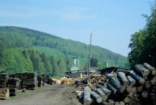 Sägewerk, hinten Wald