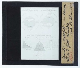 Schema der Welt in der Göttlichen Komödie