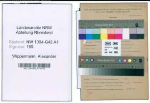 Entnazifizierung Alexander Wippermann , geb. 08.01.1898 (Maschinist)
