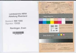 Entnazifizierung Erwin Remlingen, geb. 18.02.1906 (Landesinspektor)