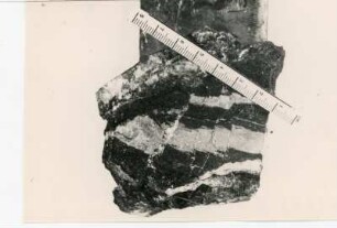 Handstück mit instruktiver Aussage. Döhlen Formation. Dresden-Gittersee, Grubenfeld Gittersee