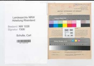 Entnazifizierung Carl Schulte , geb. 02.04.1905 (Kaufmann)