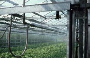 Fotografie: Gartenbautechnik-Gewächshaus, Bewässerung