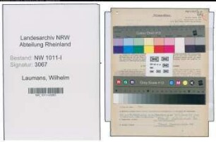 Entnazifizierung Wilhelm Laumans , geb. 12.02.1920 (Vermessungsinspektor)