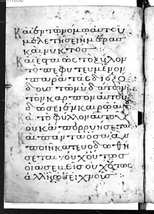 Psalterium - BSB Cod.graec. 251