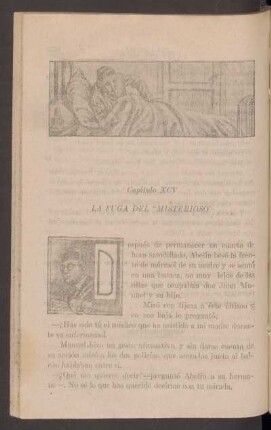 Capítulo XCV - La fuga del "Misterioso"