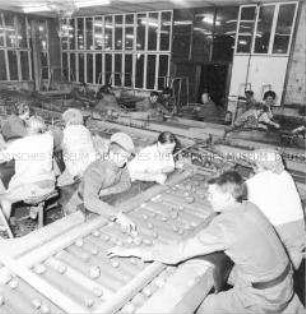 Arbeit an der Kartoffelsortiermaschine der LPG Neuholland (Kr. Oranienburg)