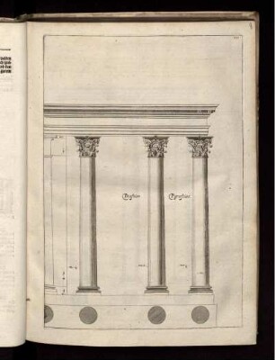 Illustration VII: Diastilos. Pignostilos