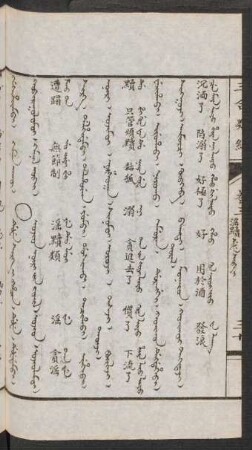 Dufe sirke i hacin = Ujid nöri-yin jüil [Vuziuv nuiri jiv jujil] = 淫黷類