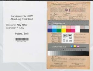 Entnazifizierung Emil Peters, geb. 12.08.1876 (Verw.Beamter)
