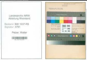 Entnazifizierung Walter Pelzer , geb. 31.07.1898 (Justizsekretaer)