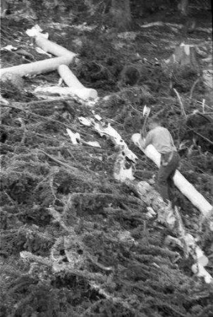Bayrischzell: Holz wird geschlagen